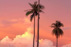 Koh-Rong-beach-71