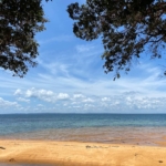 beach land for sale near koh rong lonely beach