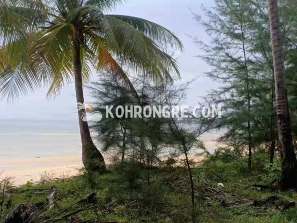 the beachfront land on Koh Rong palm beach 5000 sqm