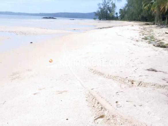 the beachfront land on Koh Rong palm beach