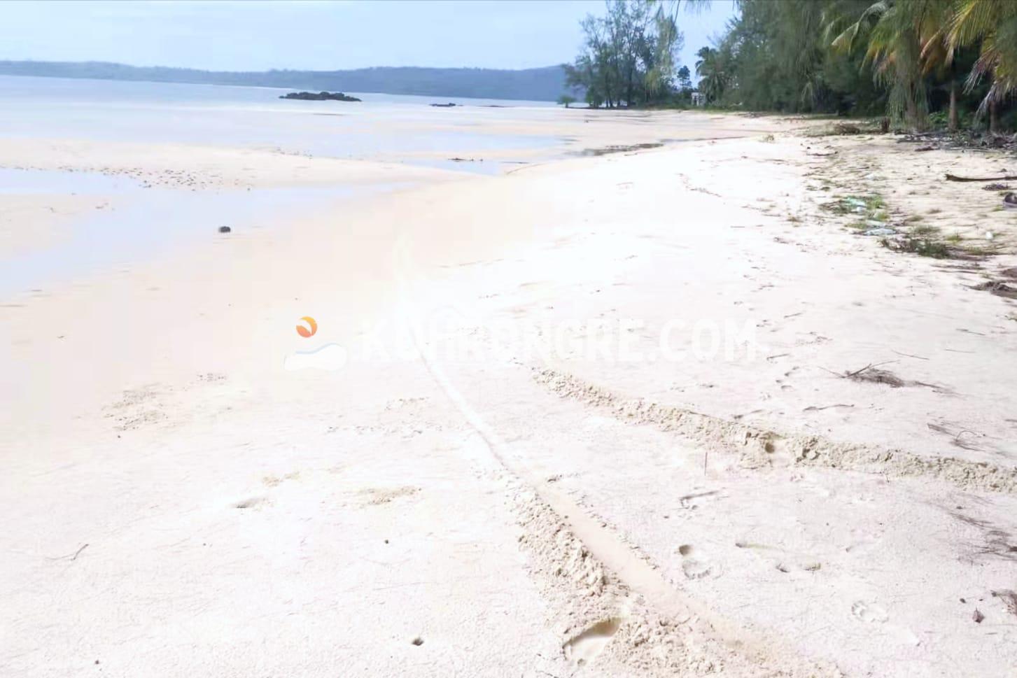 the beachfront land on Koh Rong palm beach