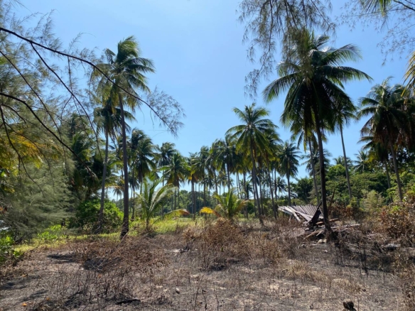 land for lease on palm beach koh rong